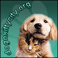 dogandkittybutton